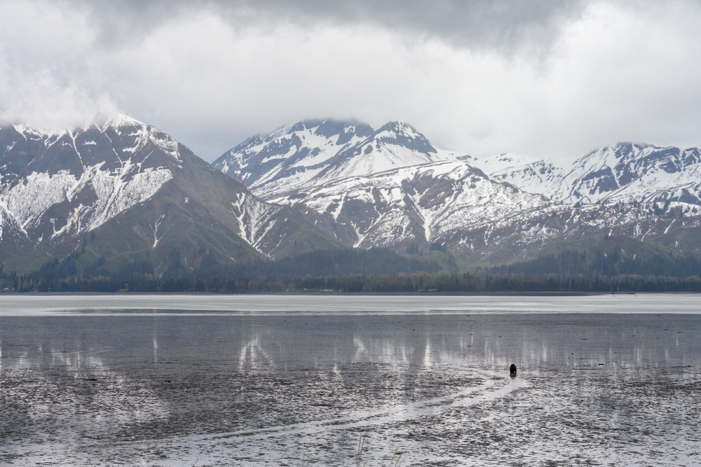 Chinitna Bay, Lake Clark National Park