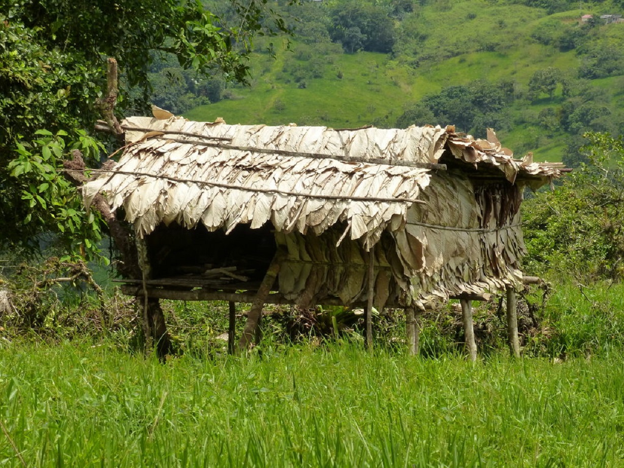 Traditional Hut of the Awa people in Ecuador - 2014