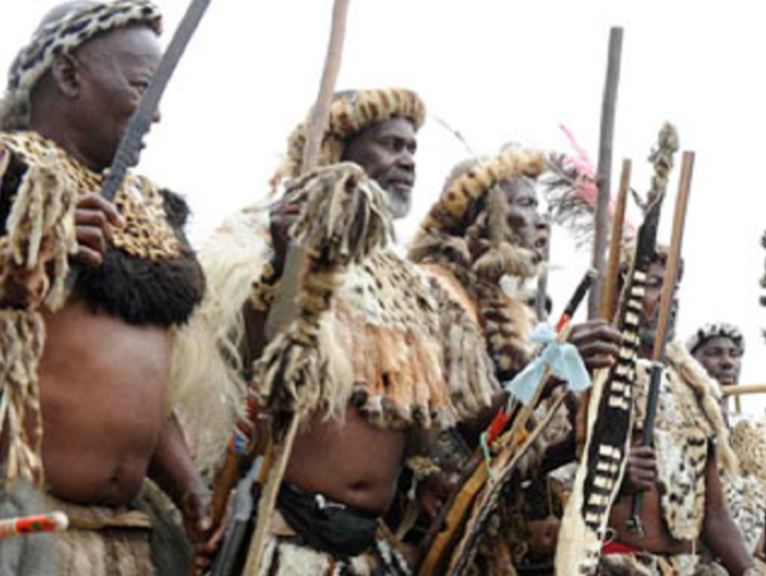 The Zulus with the traditional assegai iron spears  - 2014