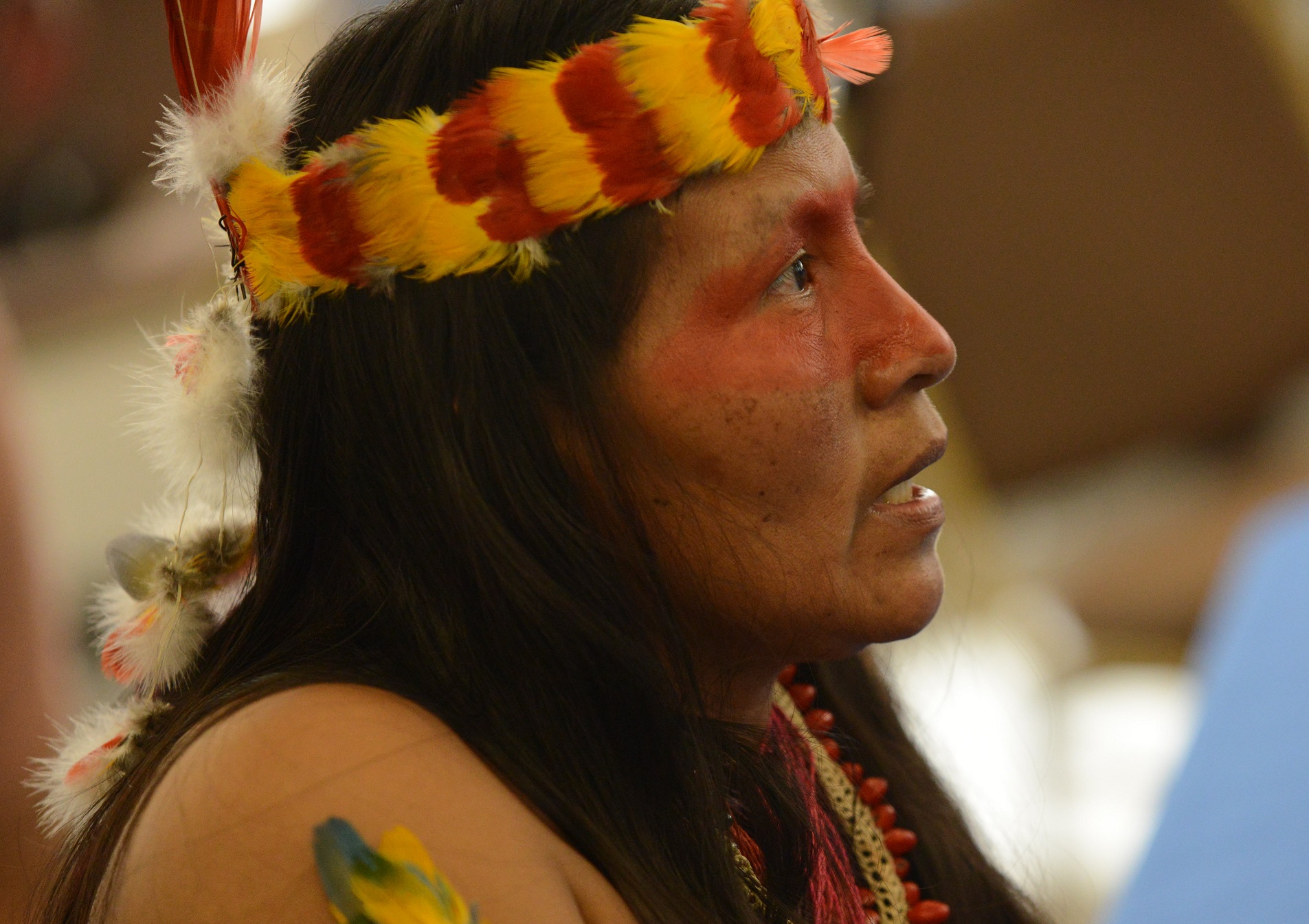 Caso Tagaeri and Taromenani - 2015