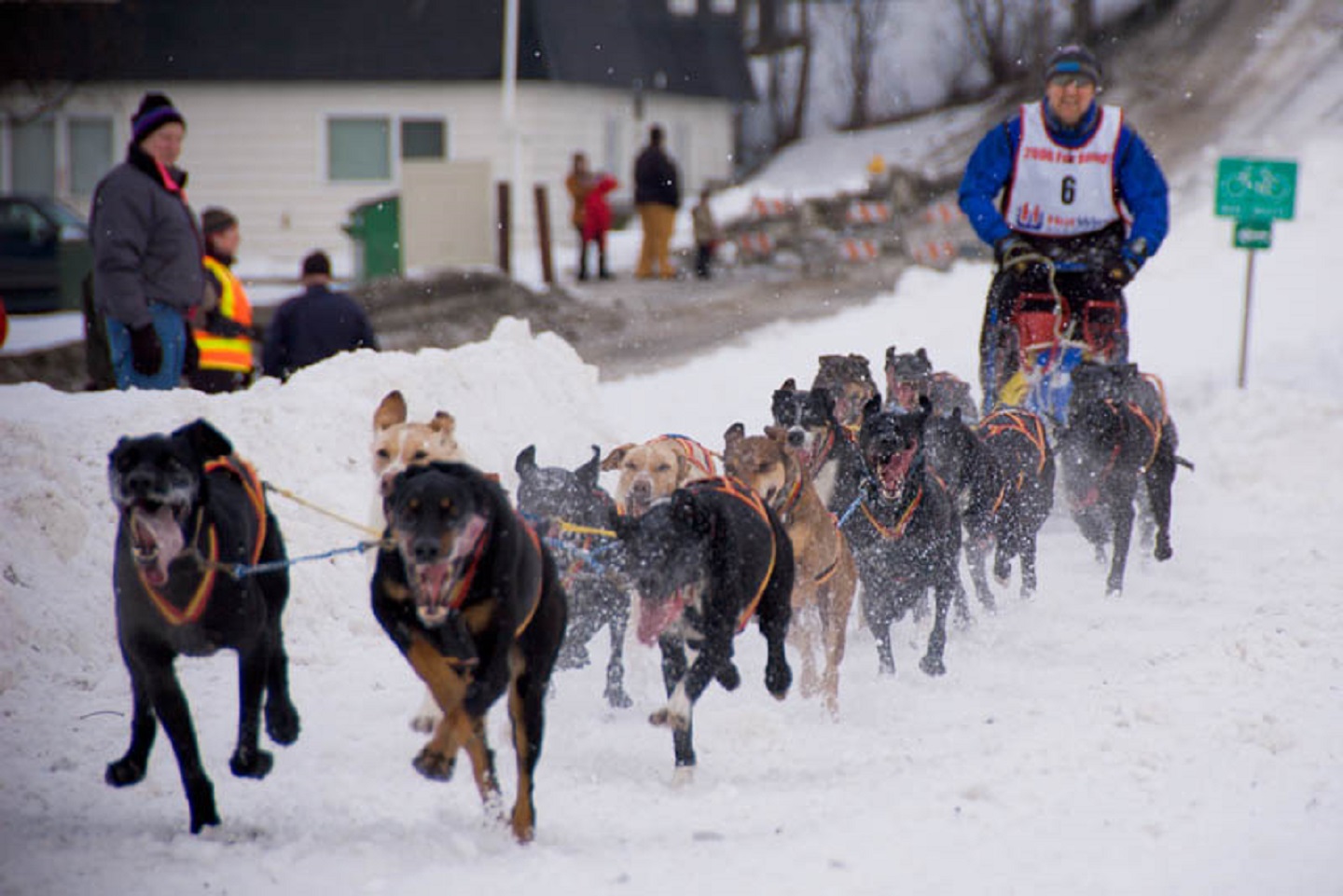 World Championship Sled Dog Races - 2008
