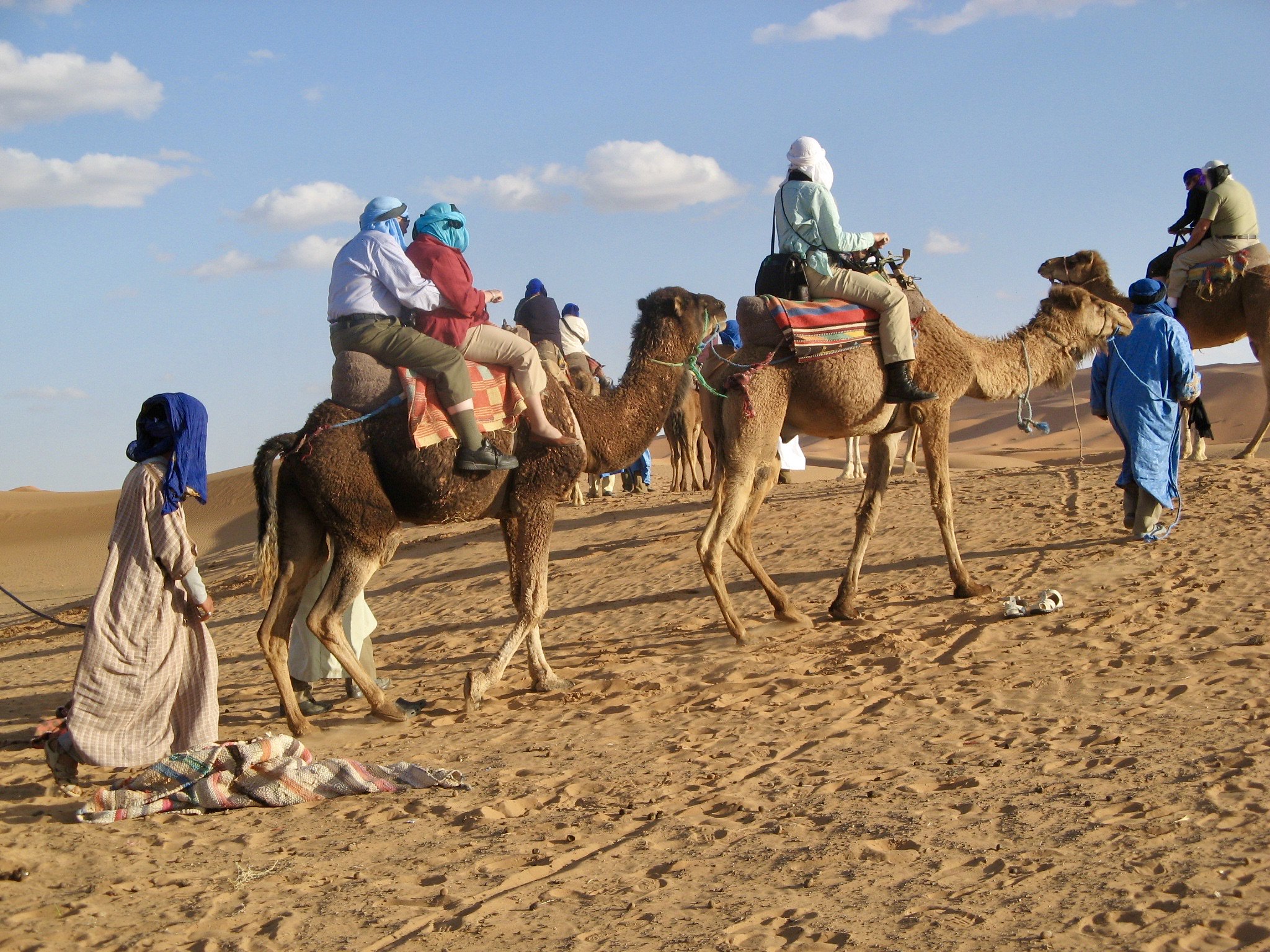 Camel caravan, Erg Chebbi sand dunes, Northern Sahara, Morocco - 2009