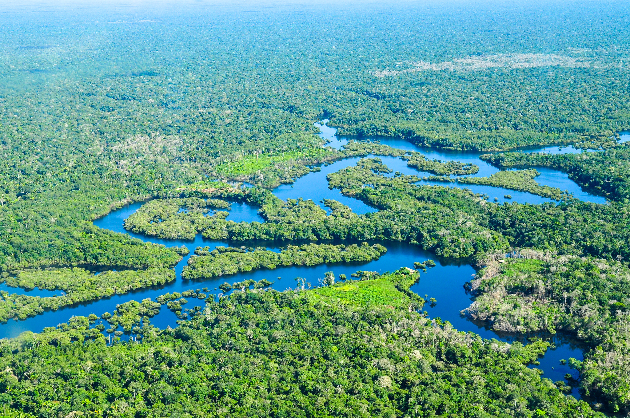 Aerial view of the Amazon Rainforest - 2011