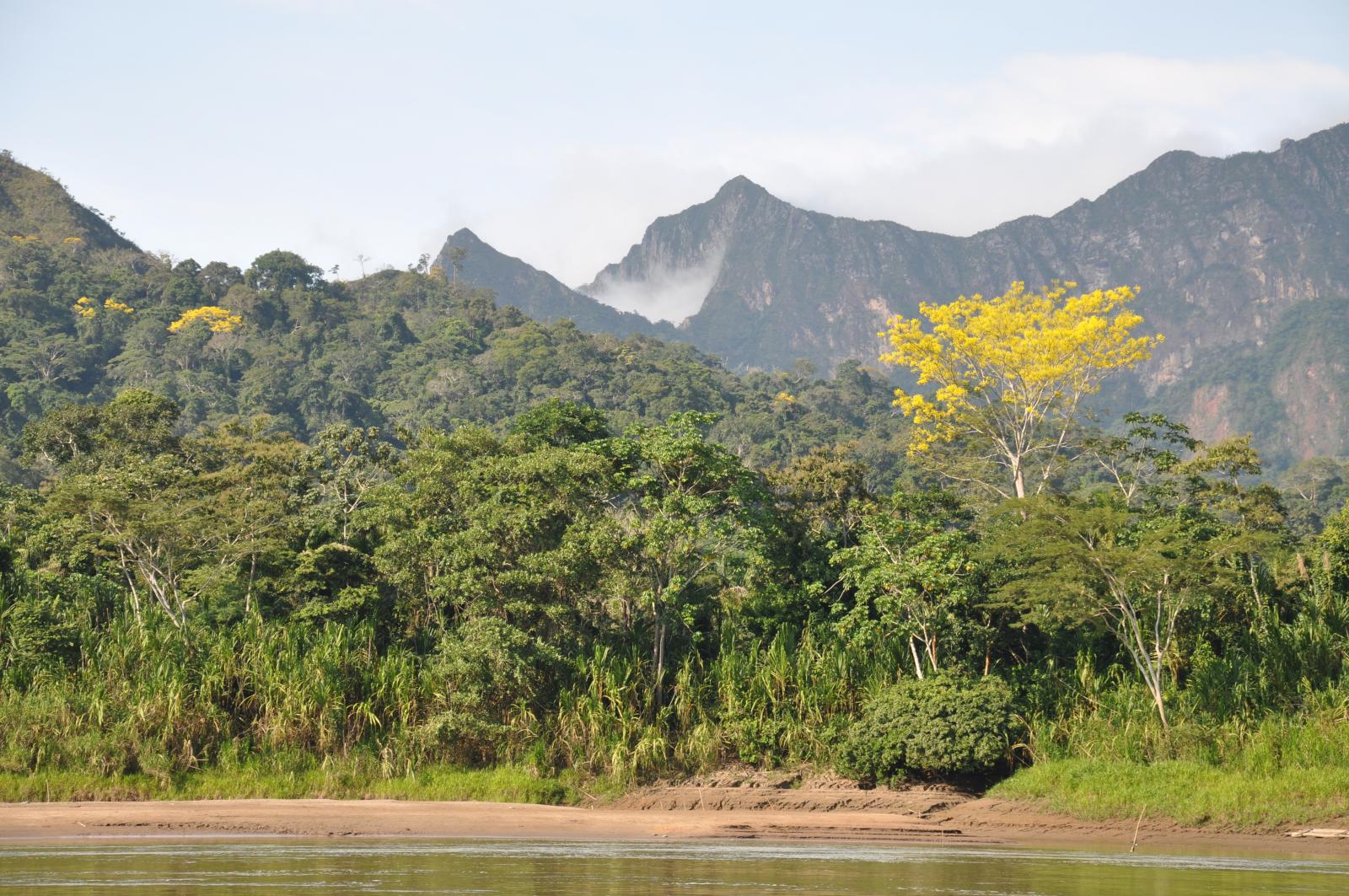 Madidi National Park, Bolivia - 2010