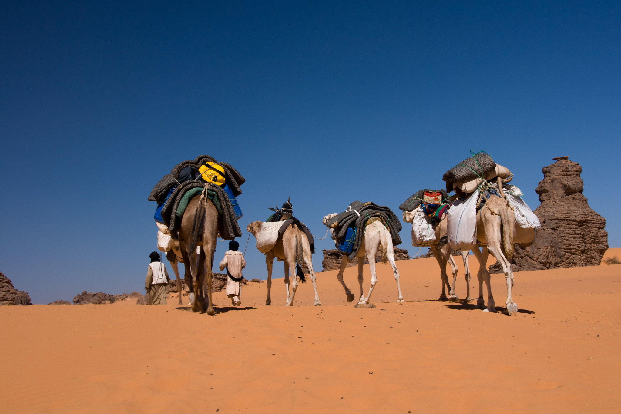 The caravan, lead by proud Tuareg, carries all our food and luggage - 2012