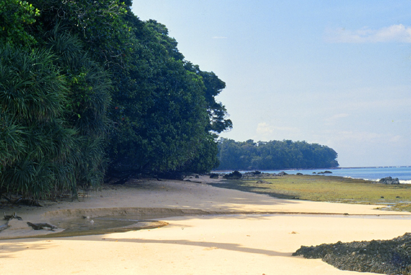 The beach on Rutland Island with the rock pools - 2007