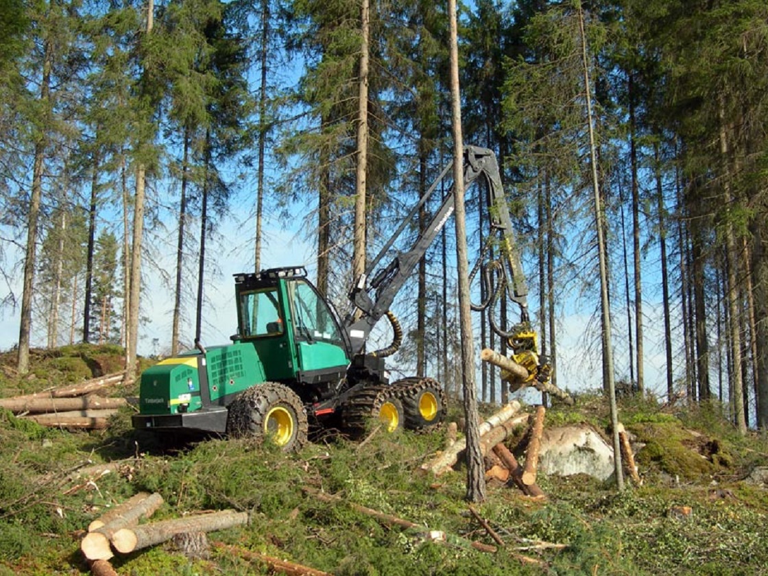 Timberjack 1070D Harverster - in the forest.