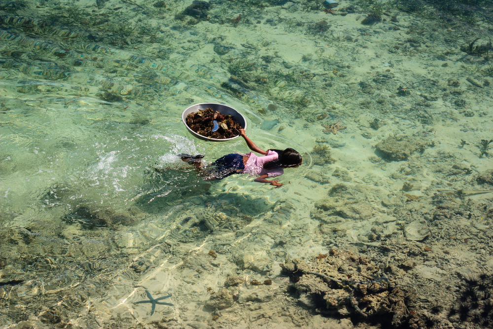 Sama-Bajau's people diving in sea, hunting for family food