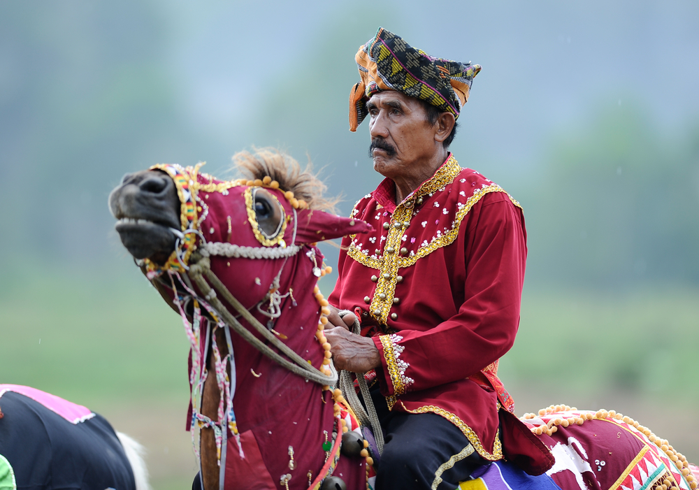 Bajau samah in traditional costume riding a decorated horse