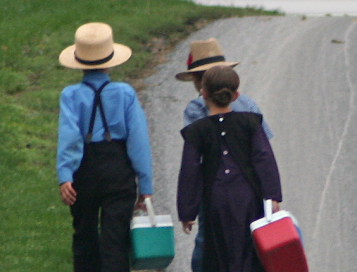 Amish On The Way To School By Gadjoboy-Crop