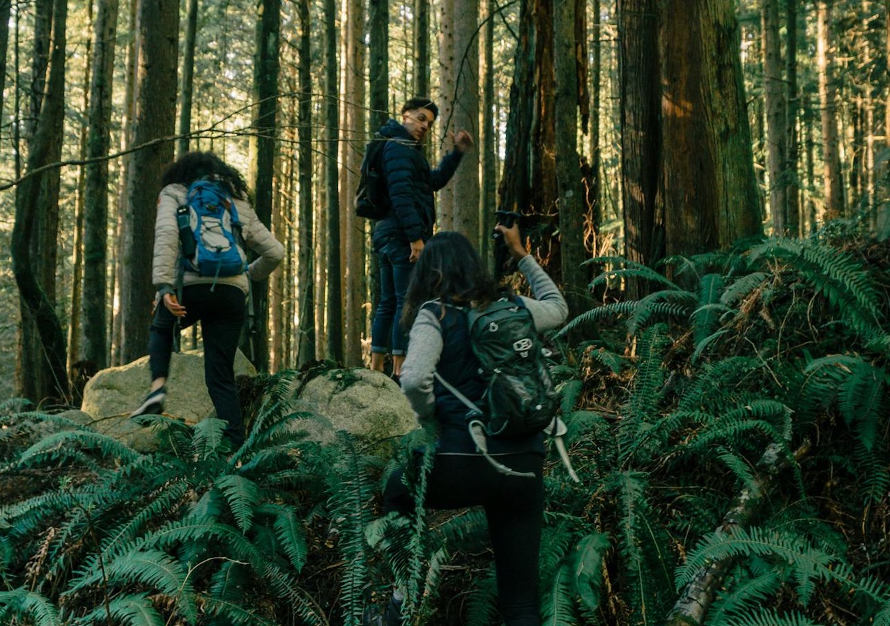 People in the forest.