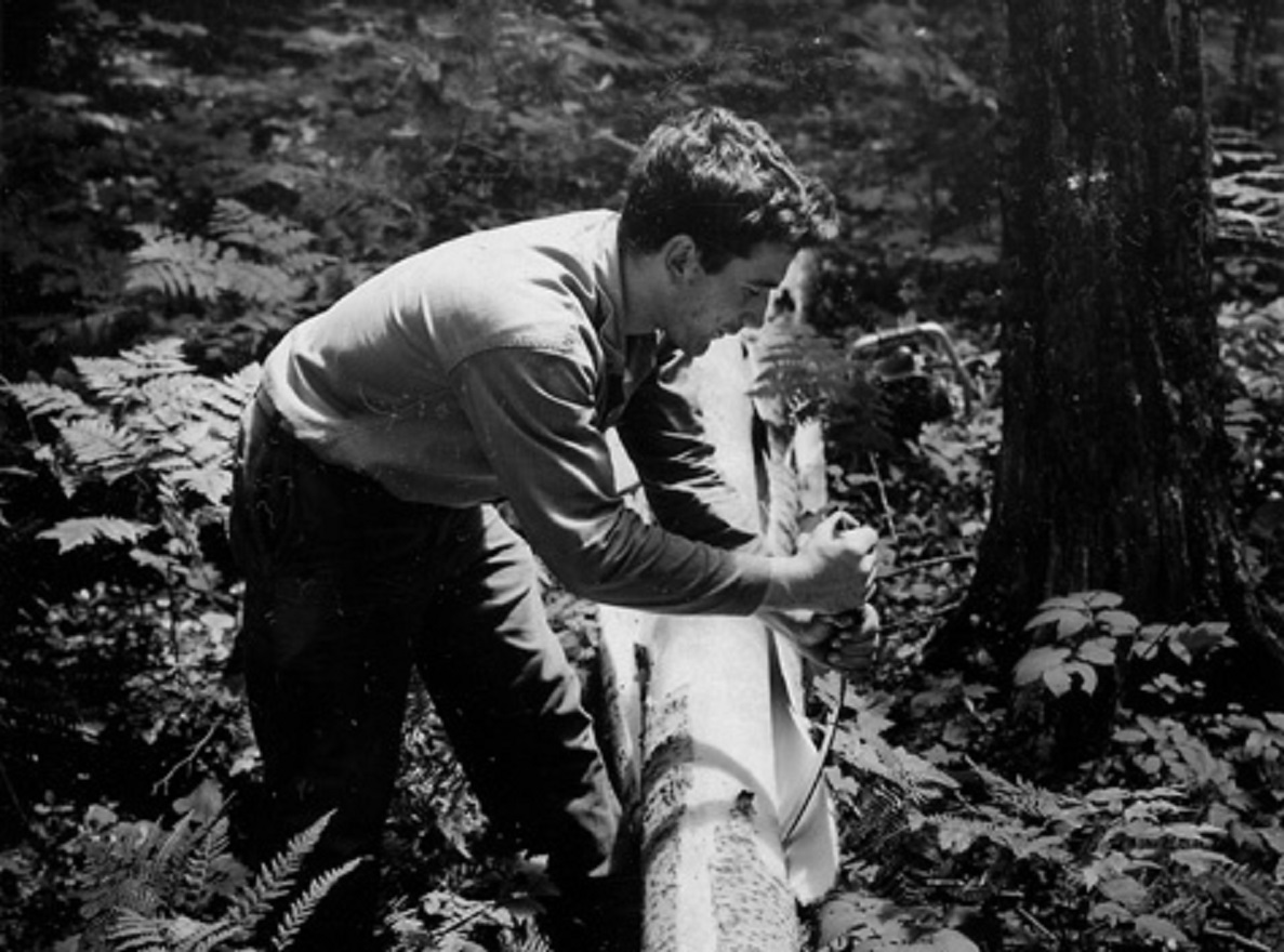 Logger in the forest - 1960