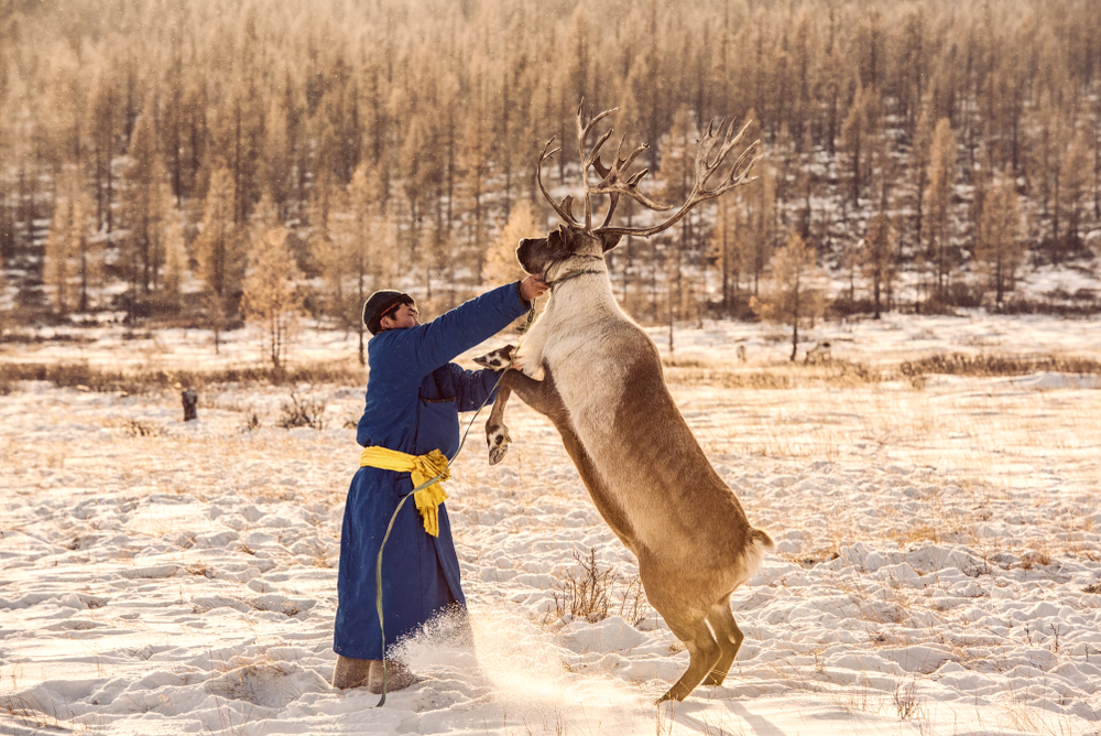 Tsaatan family, man from dukha tribe