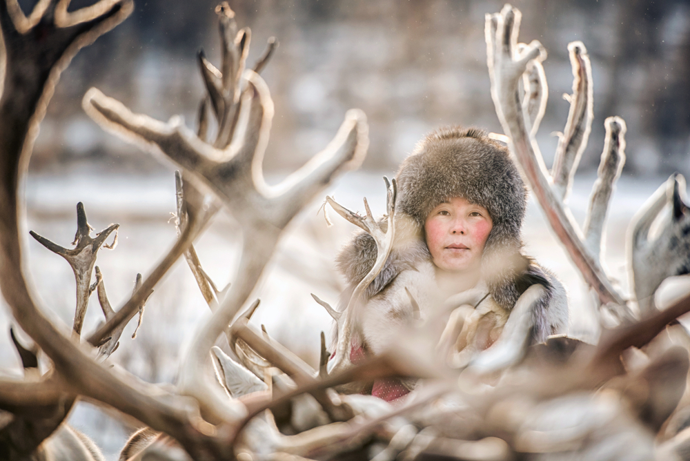 Dukha tribe, Tsaatan family and their Reindeers