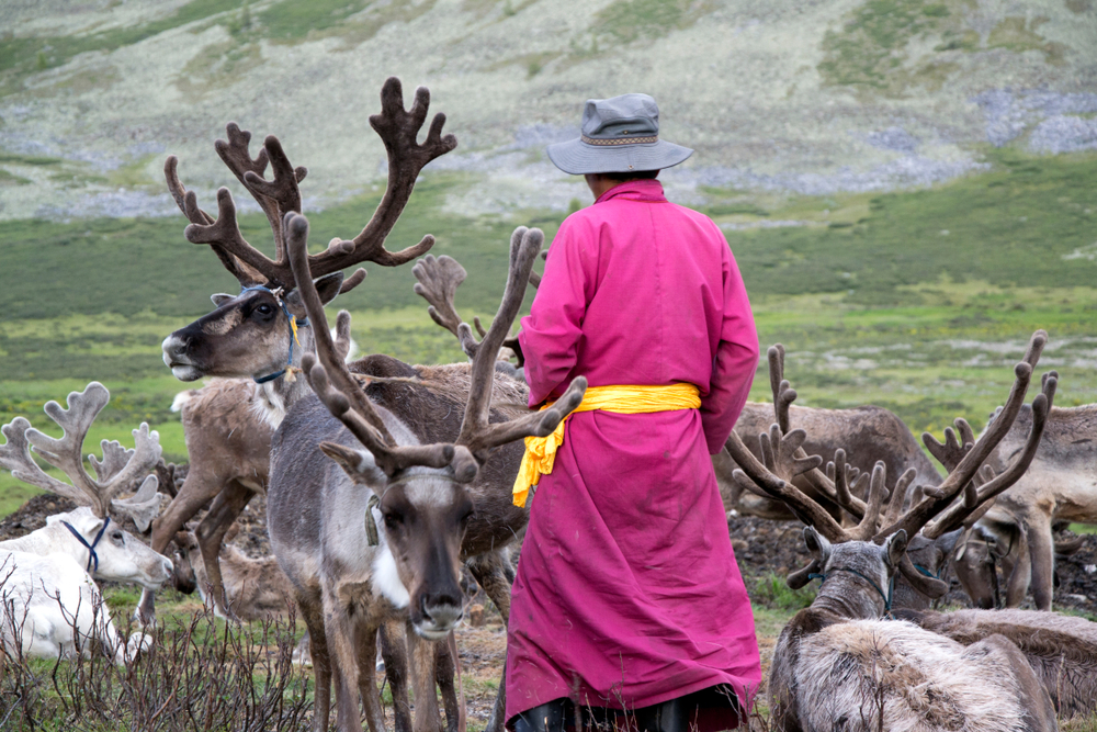 Tsaatan men from dukha tribe and his reindeer