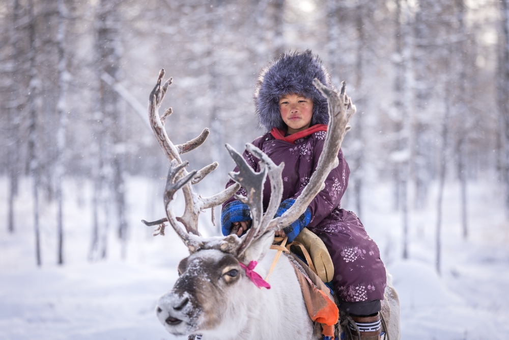 Dukha people, child from the tribe riding a reindeer