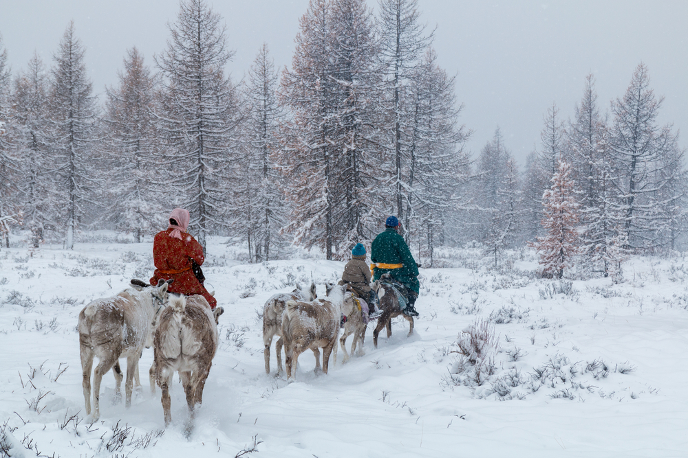 Tsaatan family and reindeers