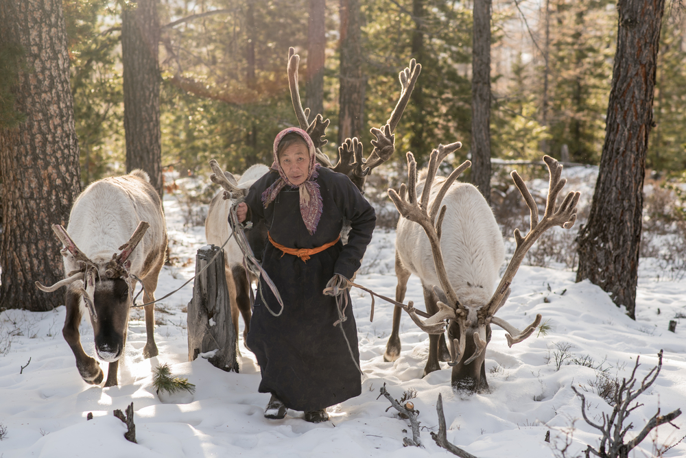 woman and her Reindeer, Tsaatan tribe