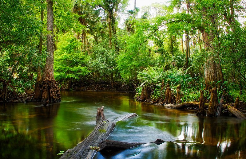 Landscape Photo of Loxahatchee-River-Backwaters-from-Jupiter-Florida