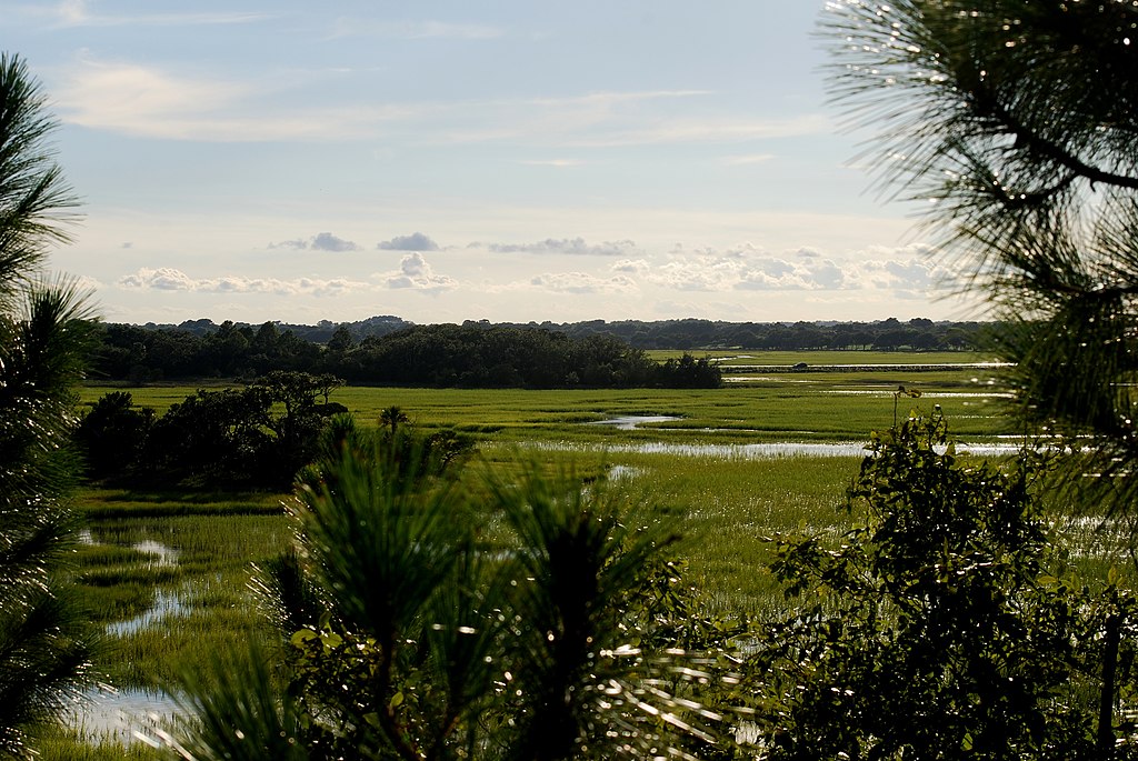 Landscape Photo of Kiawah Island in South Carolina USA
