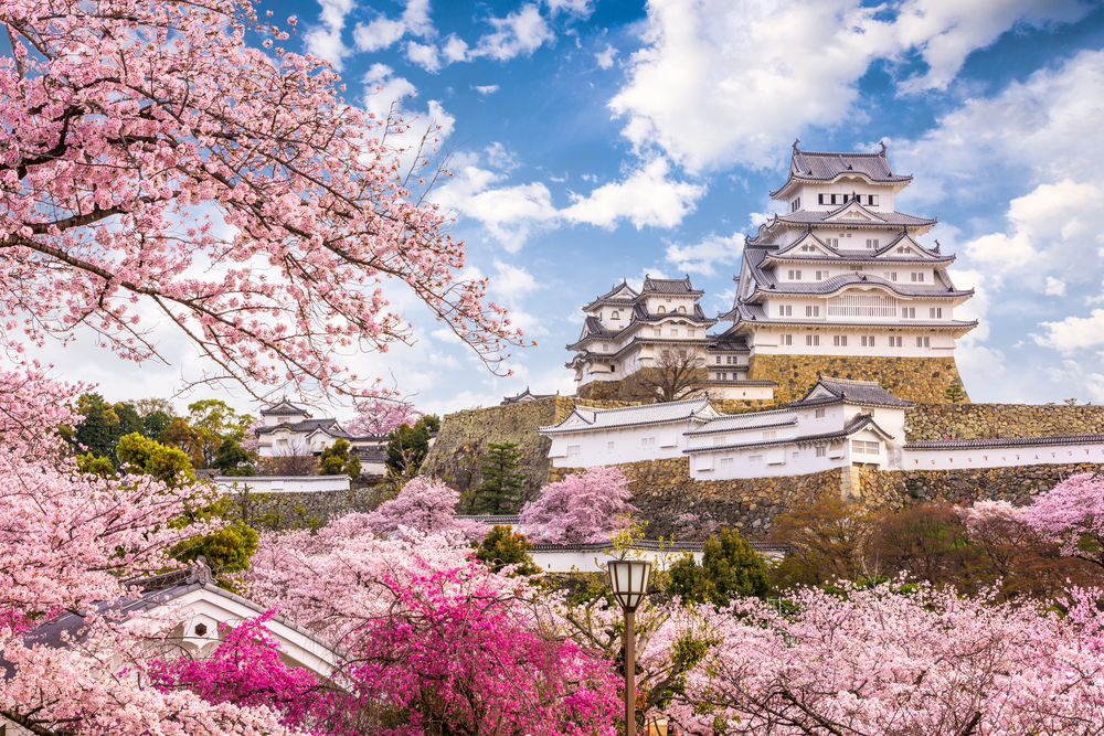 Himeji Castle in spring