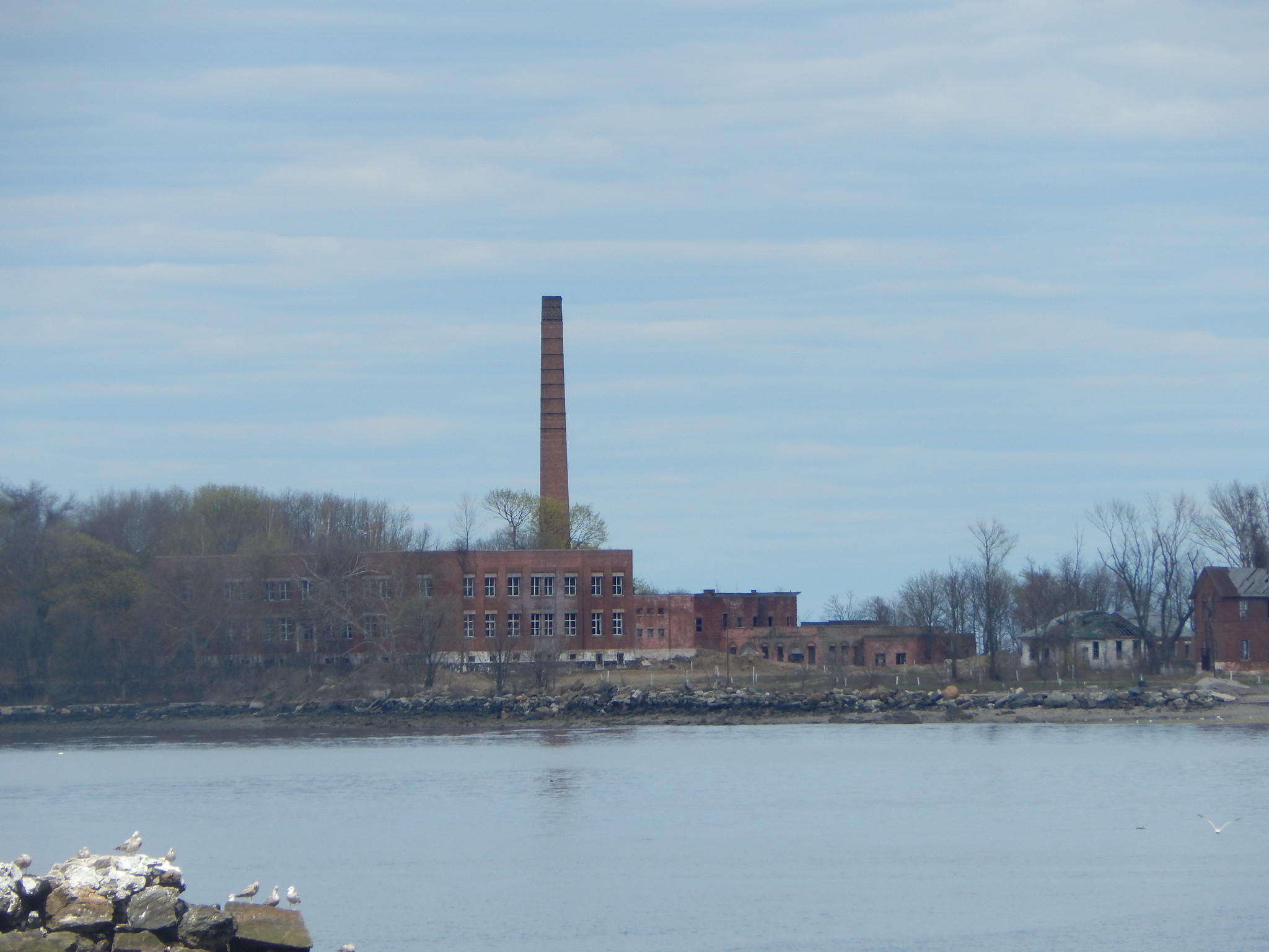 Hart Island ,NY - 2015
