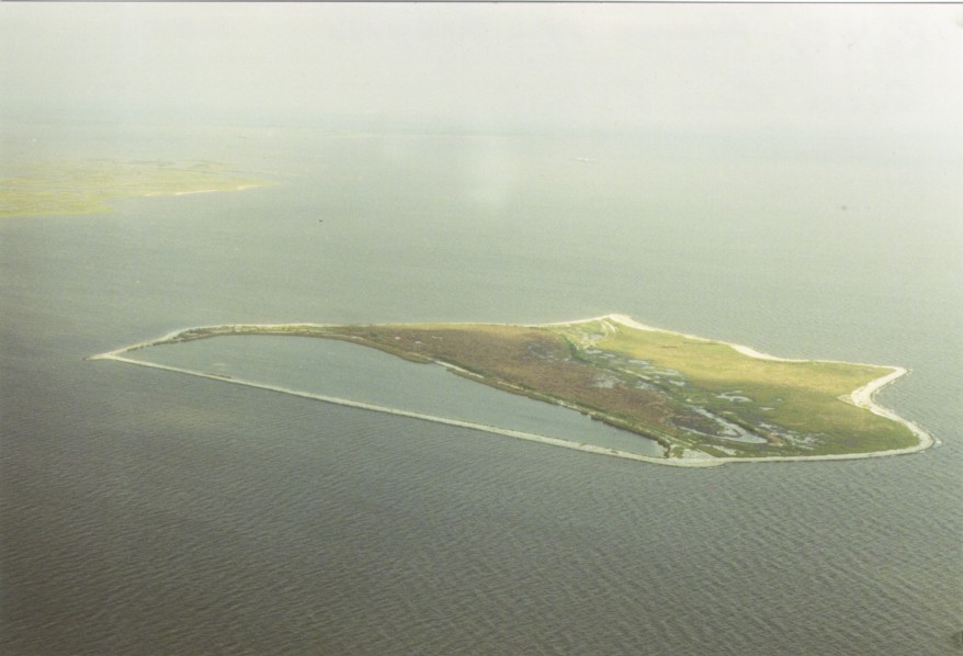 Barataria Bay Waterway Wetland Restoration