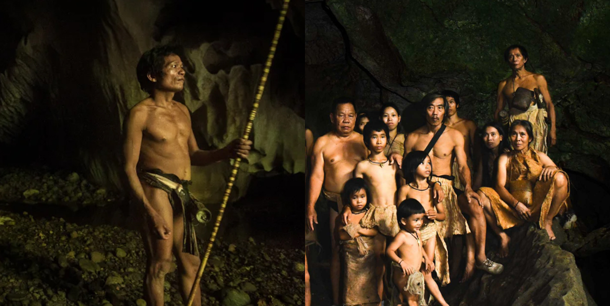 tribe split image