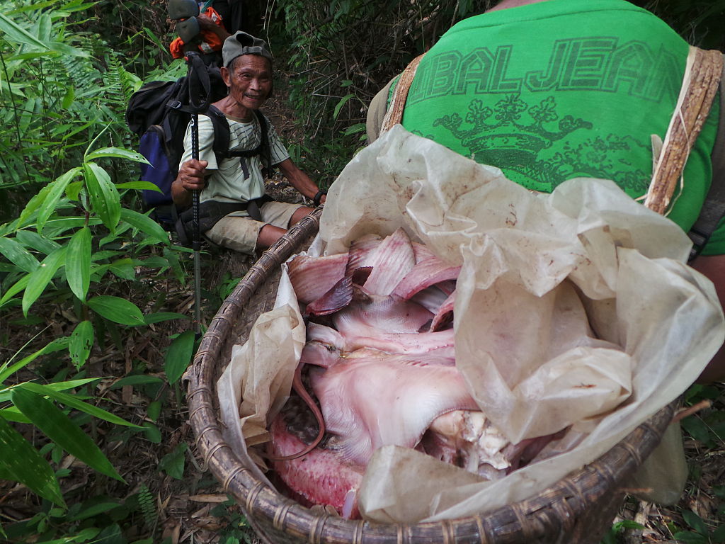 Tao't Bato tribe in Singnapan Valley