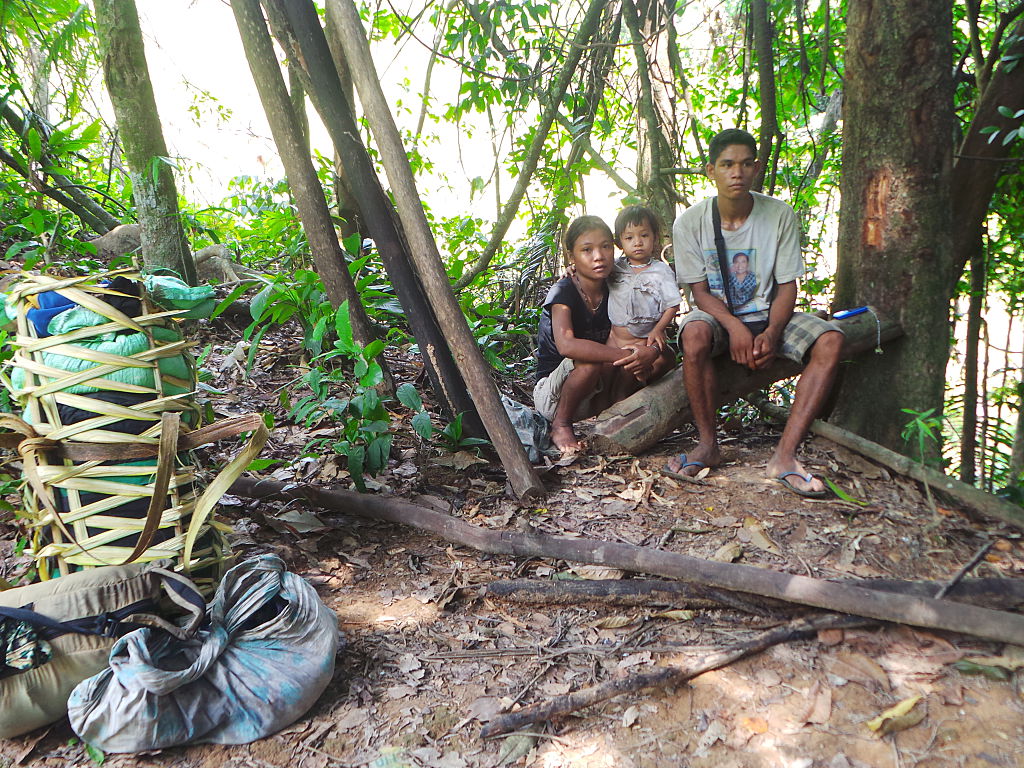 Tao't Bato tribe in Singnapan Valley harvest ripe durian
