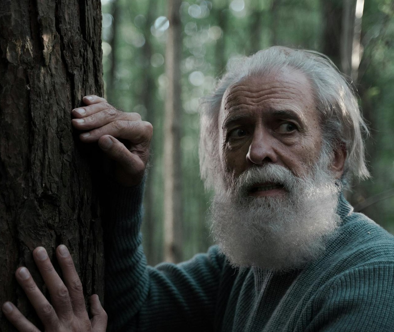 Bearded man in green sweater looking scared in the woods.