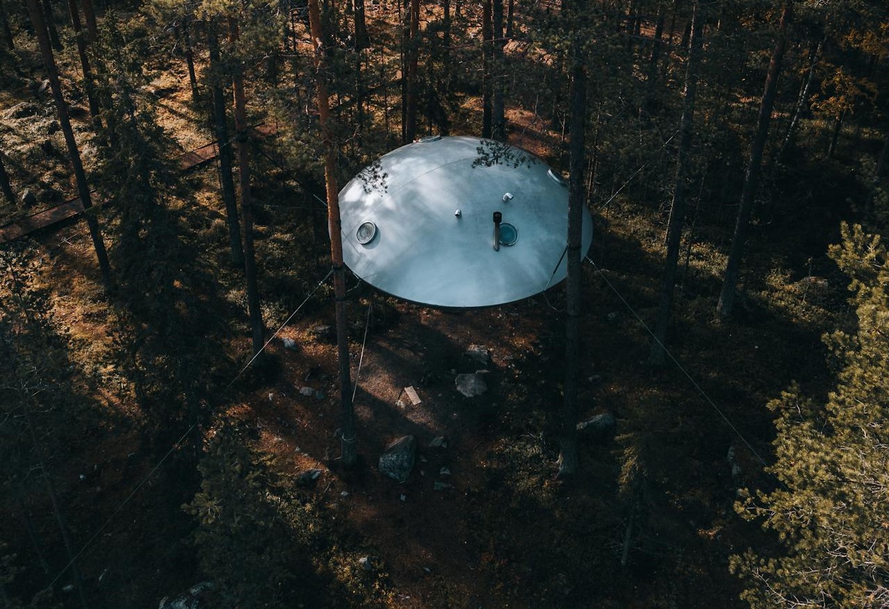 UFO in the woods.