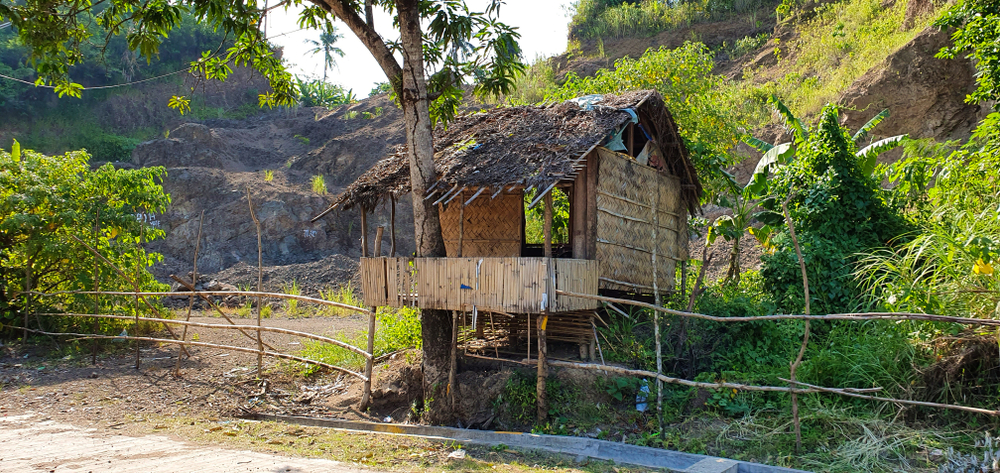 Abandoned bamboo hut