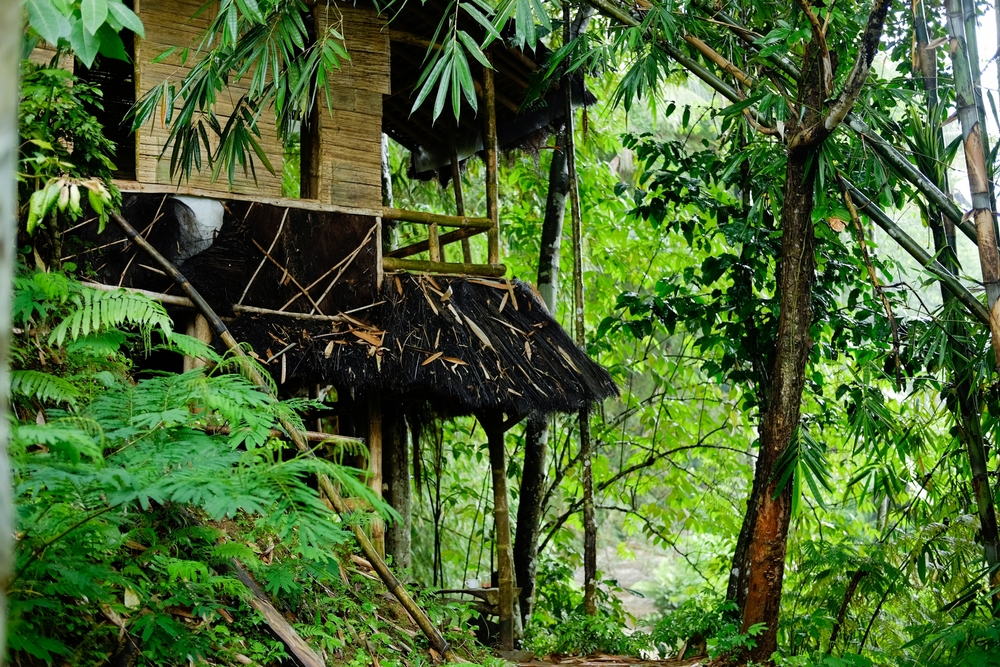 A bamboo house