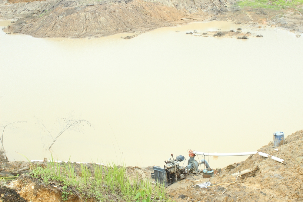 mining companies jungle