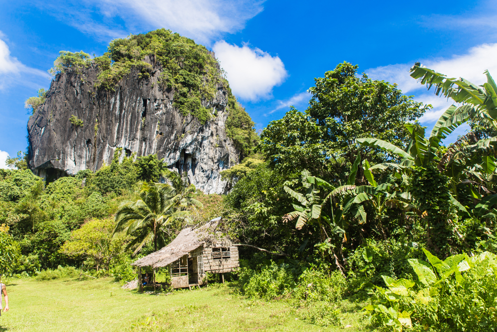 Bamboo house near the entrance to ille cave