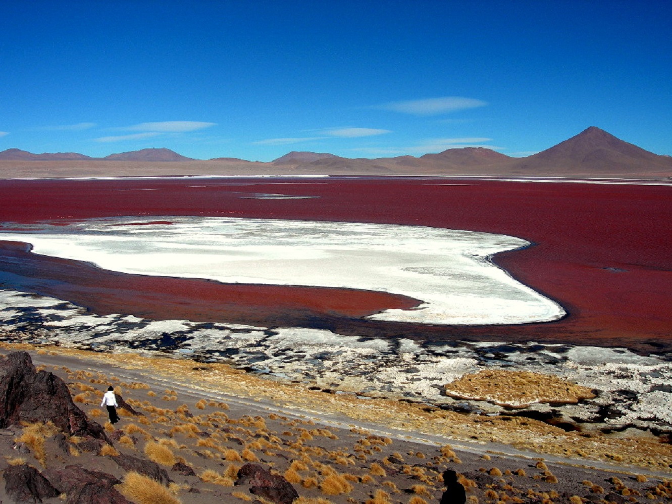 Laguna Colorada, Bolivia - 2006