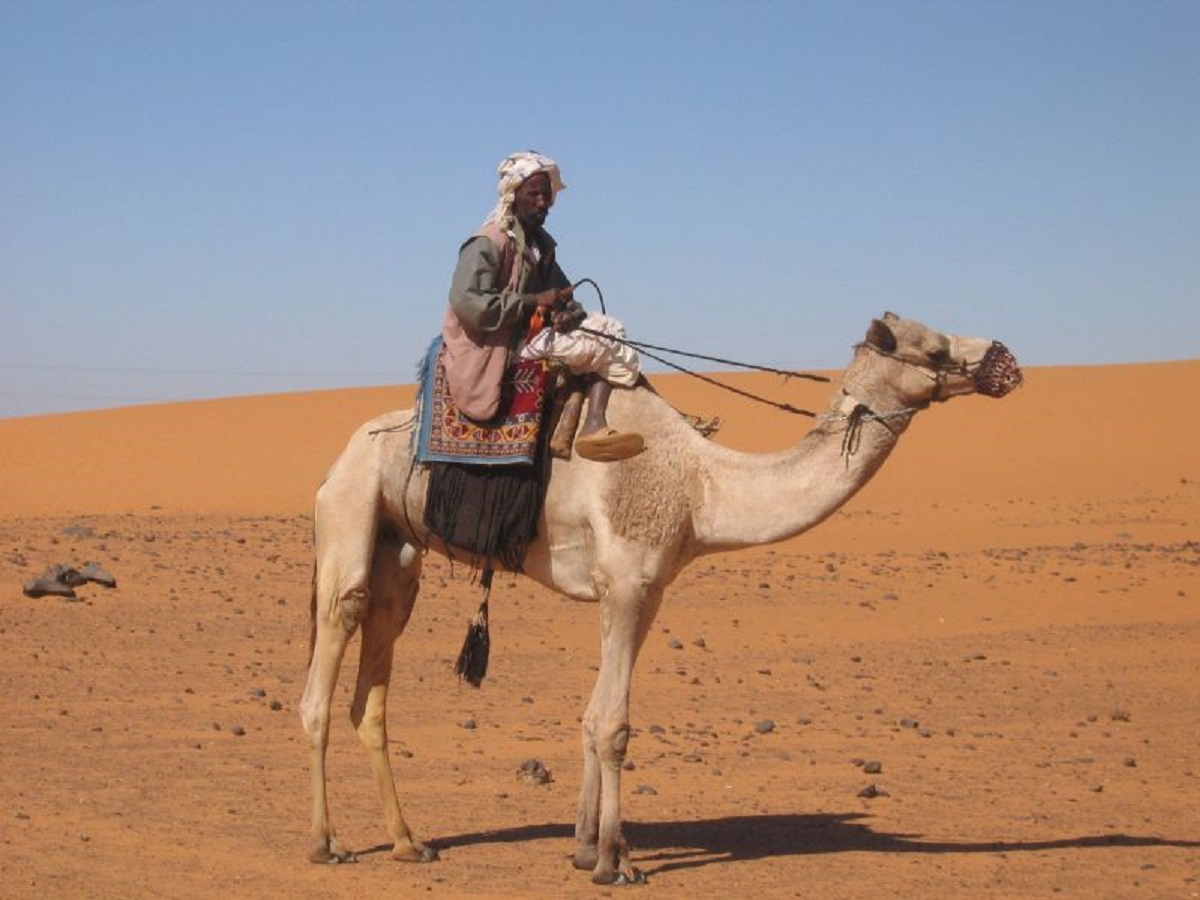 Man on the Camel in desert.