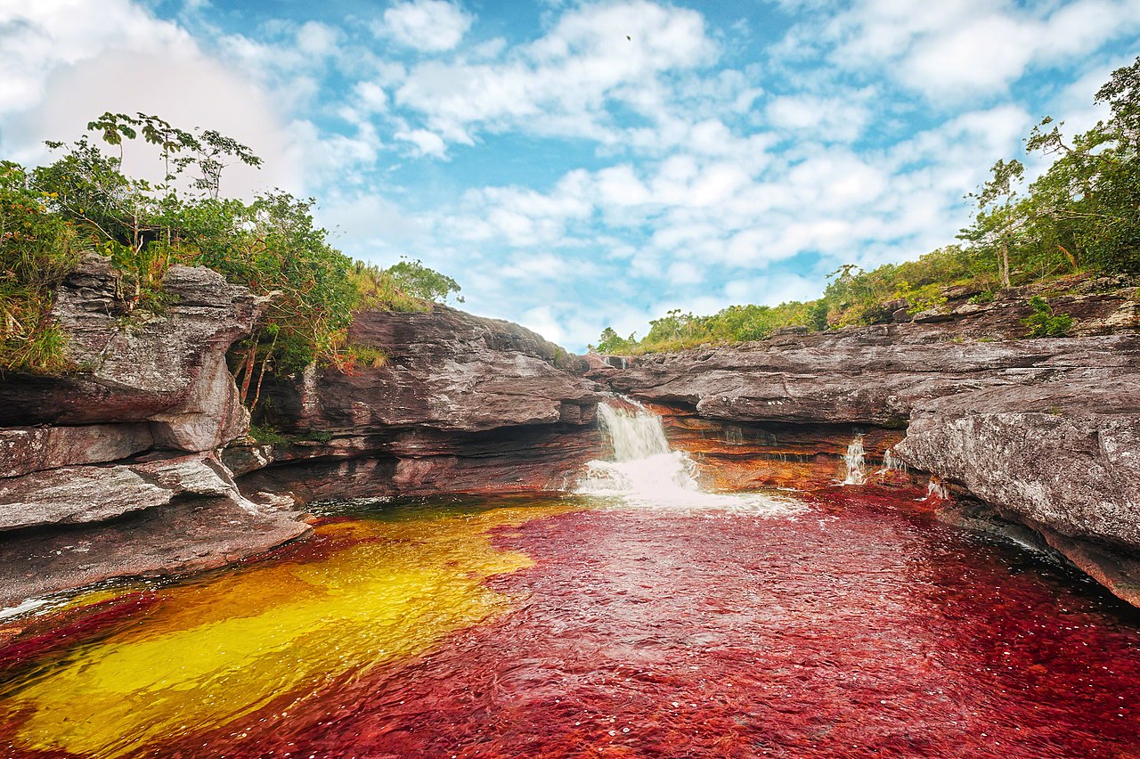 Caño Cristales, Colombia - 2012