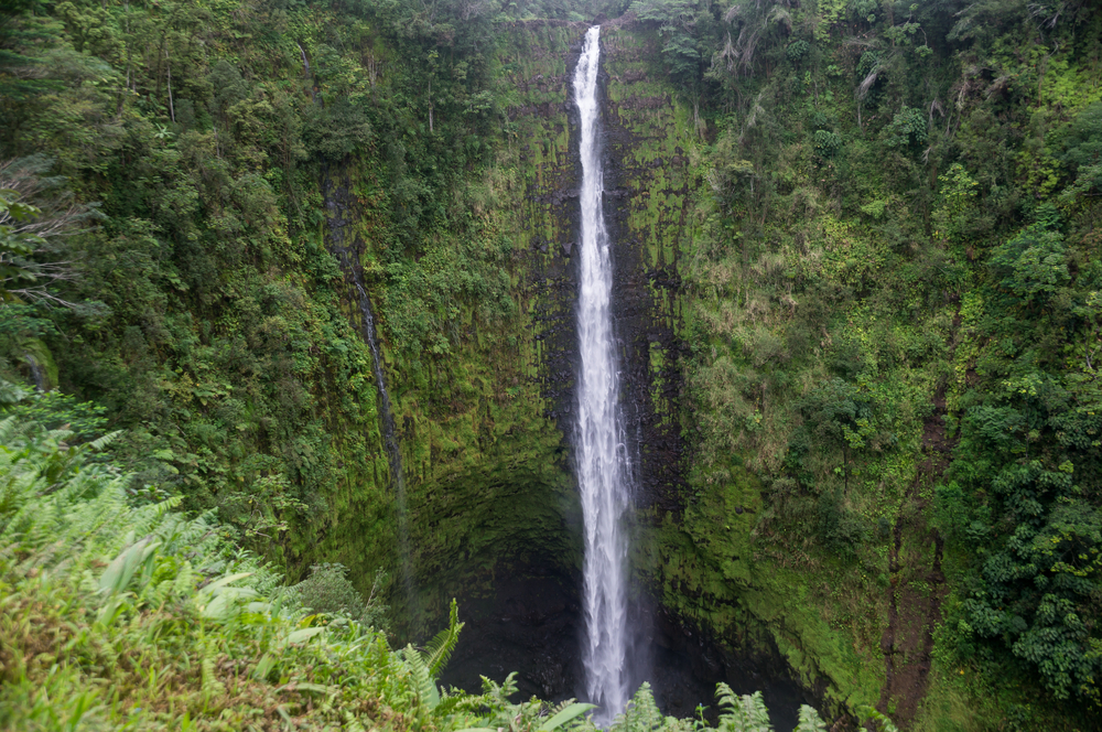 'akaka Falls — Hawaii