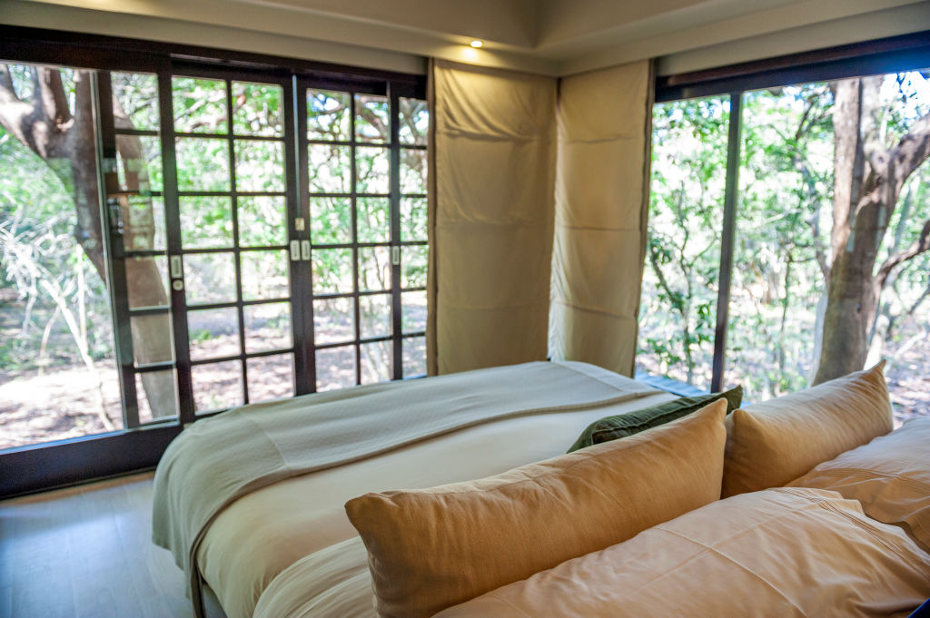 Phinda Private Game Reserve