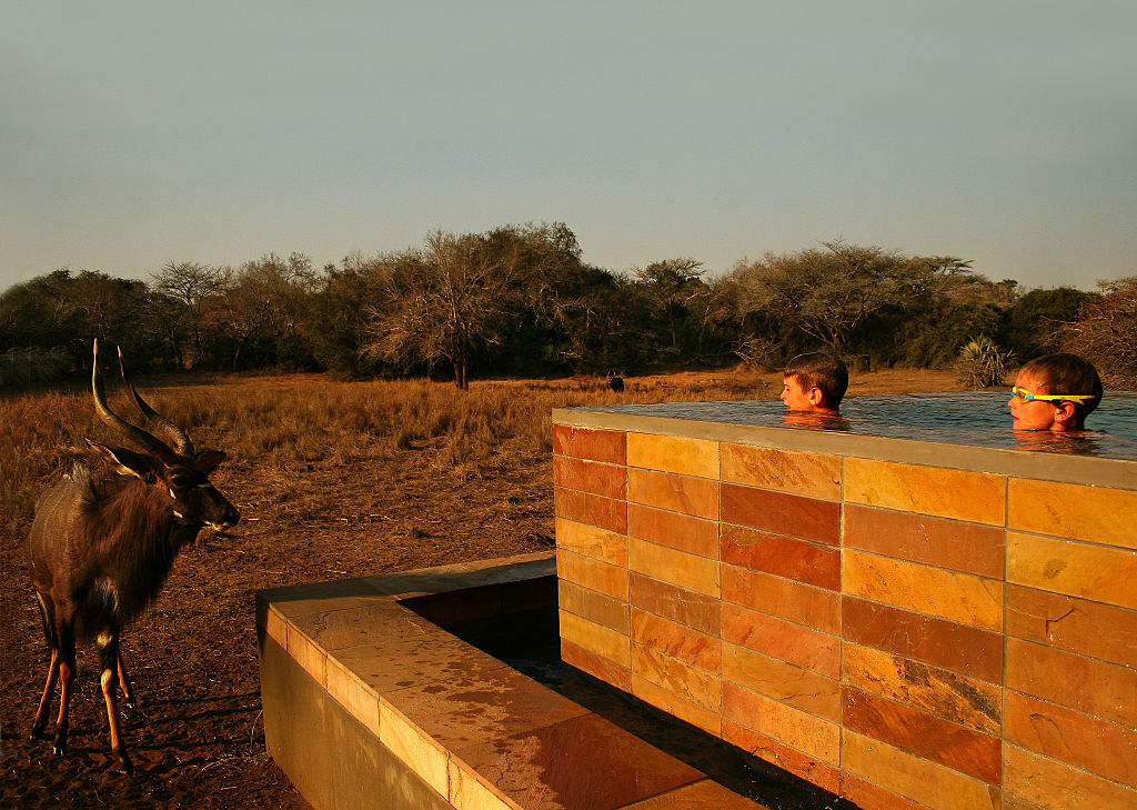 and beyond phinda forest lodge