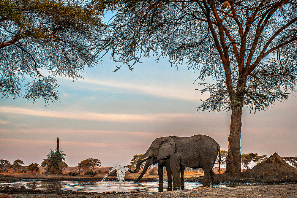 Linyanti region of the Chobe Nature Reserve in Botswana