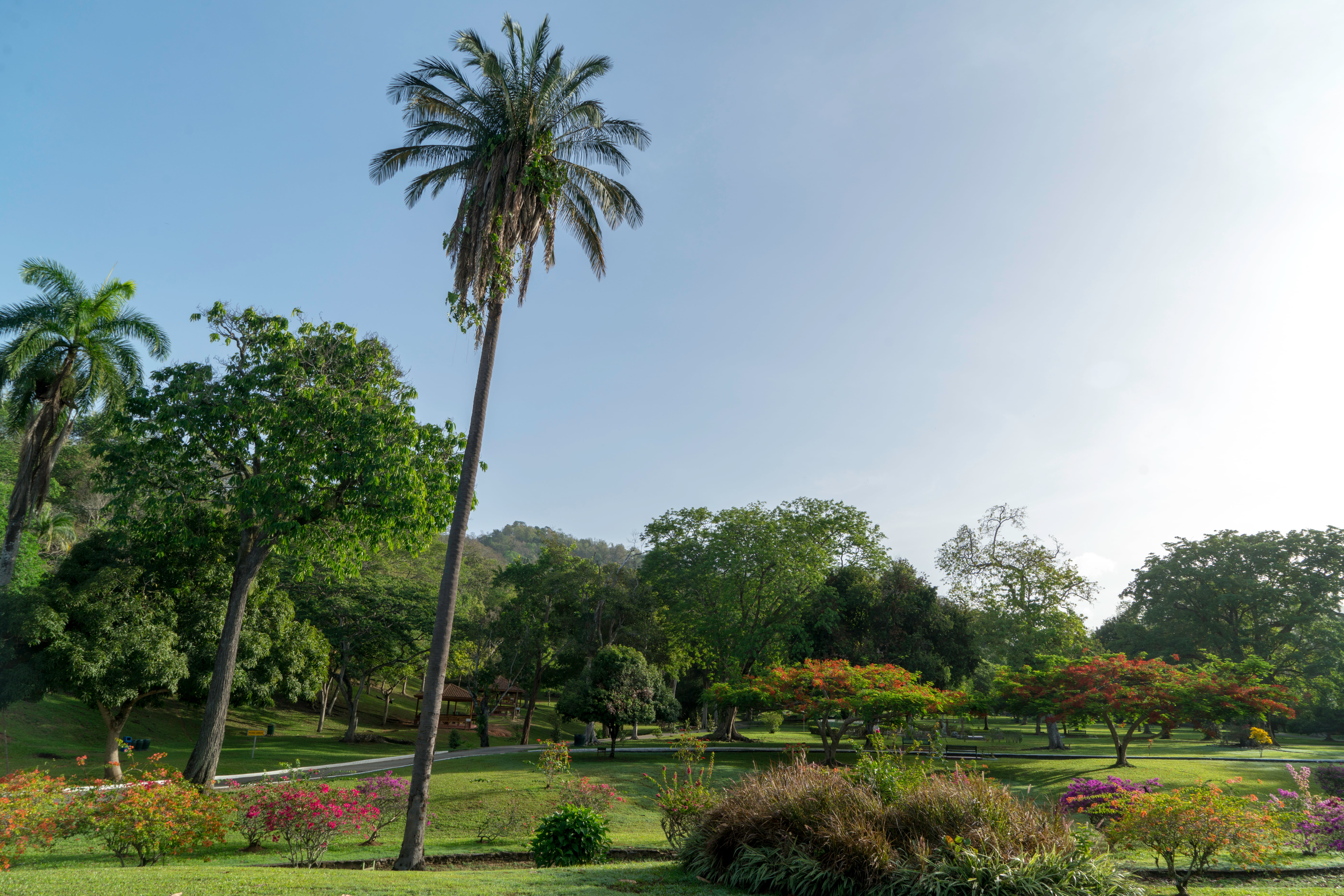 Royal Botanical Gardens