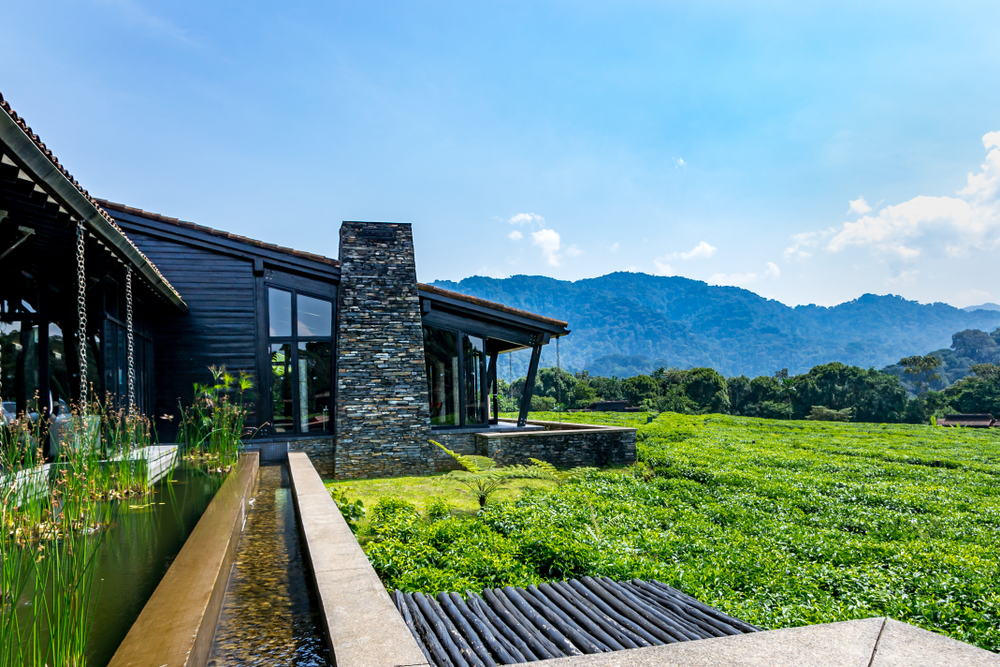 Hotel Nyungwe Forest Lodge