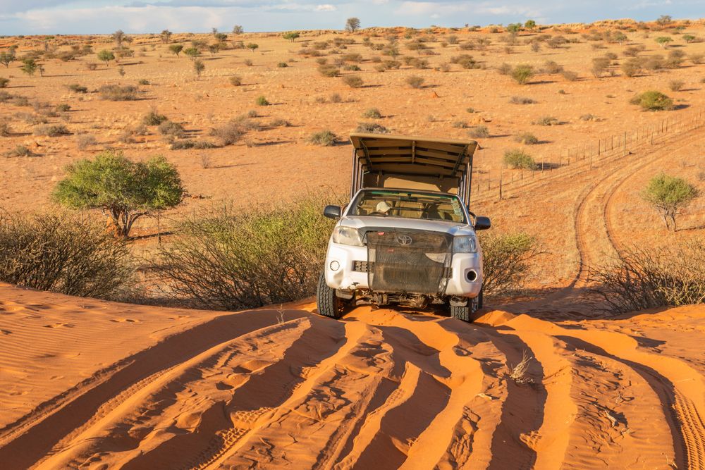 Kalahari desert / Namibia