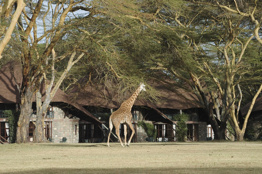 Sopa Lodge Hotel, Kenya, East Africa