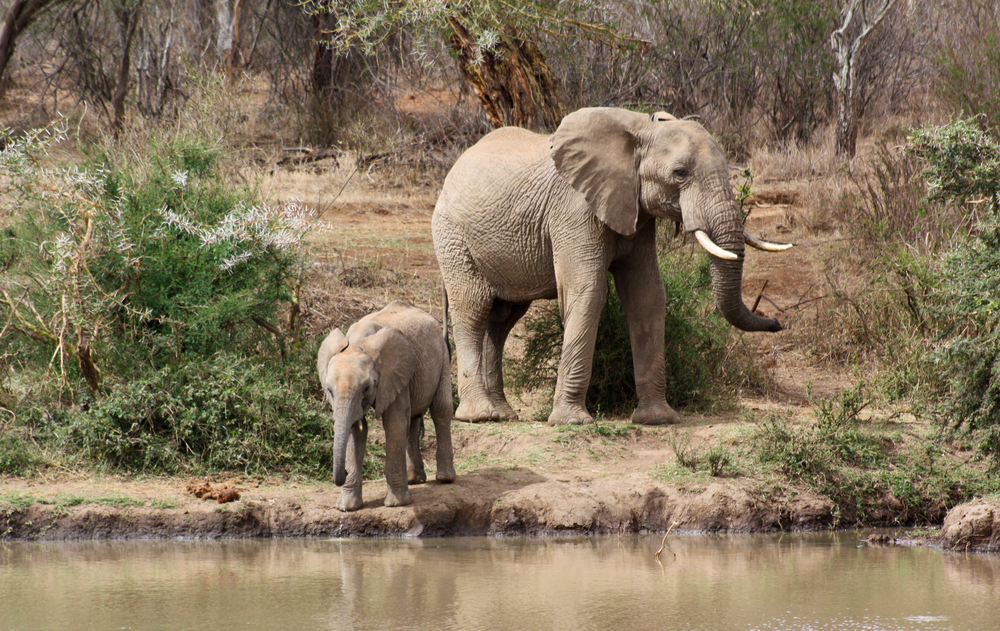 Laikipia, Kenya
