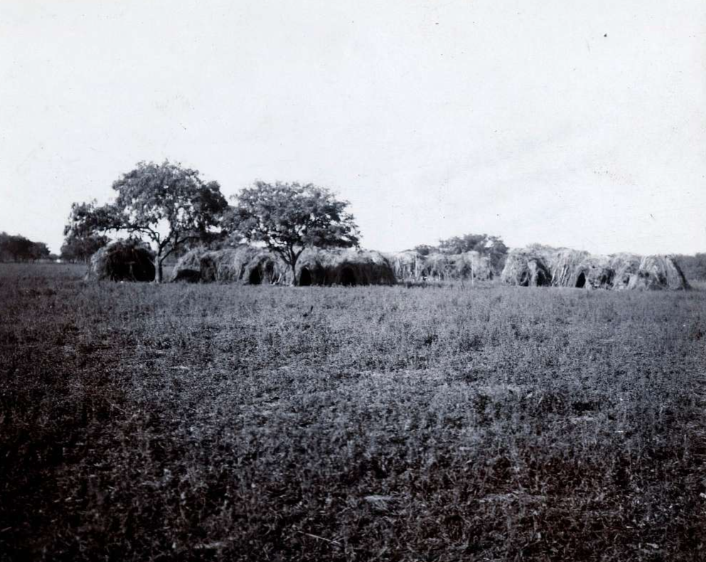 El Gran Chaco region in Bolivia