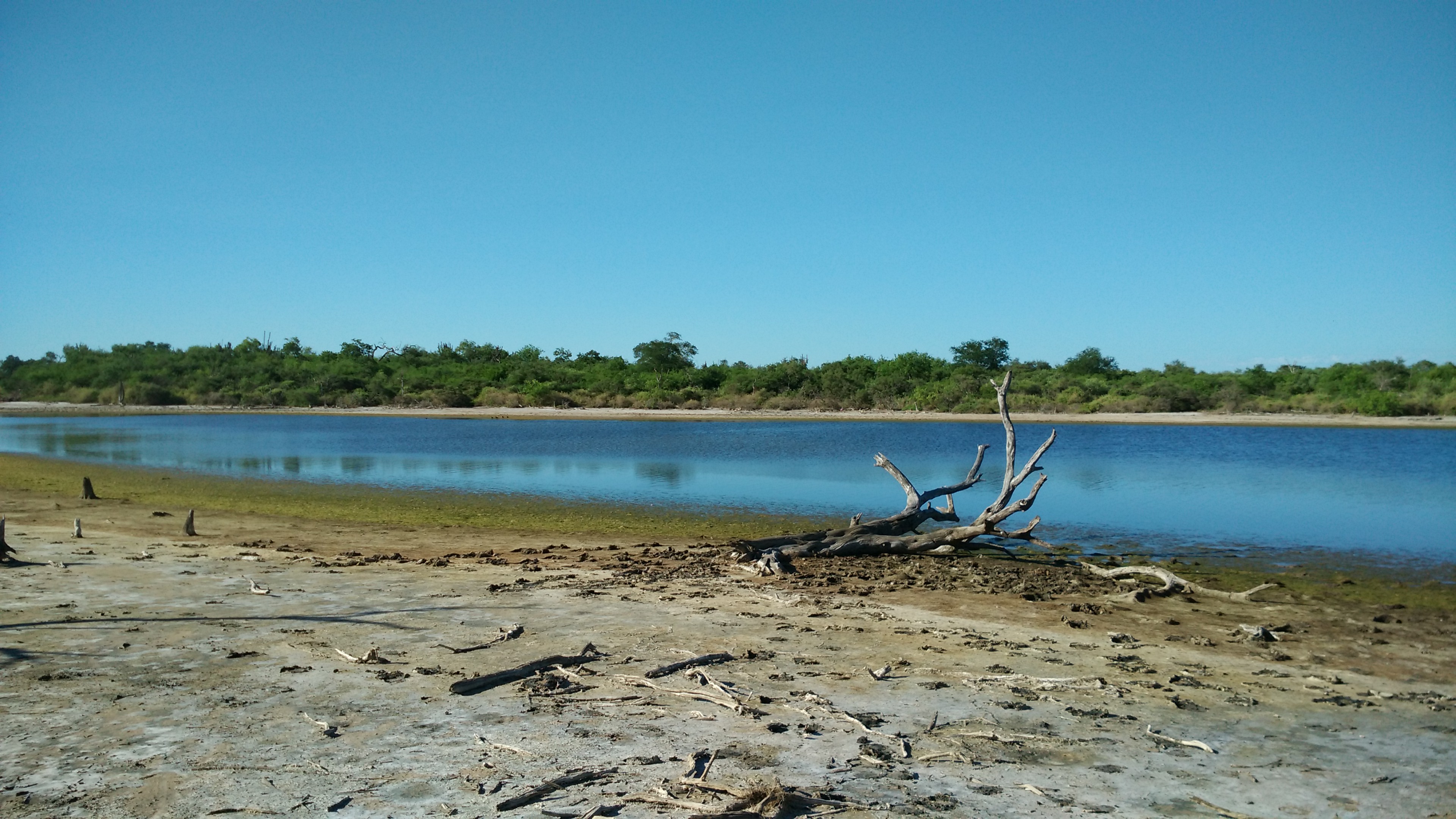 Lagoon in the Paraguayan Chaco.